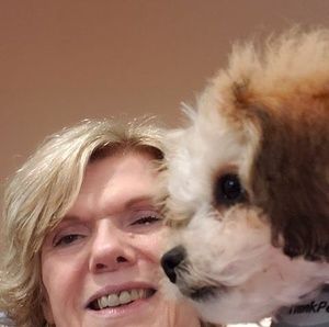 Meet your Posher, Connie